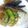 ♡大臣と姫達のママ♡'s cooksnap of when they made オクラかぼちゃ茄子トマトの野菜カレー.