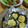 bnr32's cooksnap of when they made しいたけのマヨチーズ焼き.