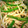 yukitty0908's cooksnap of when they made たけのことピーマンのしらす炒め.