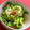 羽尼うに's cooksnap of when they made 簡単!栄養満点!納豆とめかぶetc梅和え.