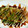 crystaI's cooksnap of when they made ずぼらmenu!とん平焼き★.