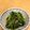 3人姉弟食べ盛り's cooksnap of when they made すぐできる★豆苗とモロヘイヤのおひたし.