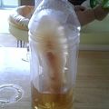 ユーちゃんのママ's cooksnap of when they made 部活のお茶.