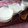 ママんま's cooksnap of when they made 簡単！とろとろ豆乳プリン.