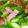 305630's cooksnap of when they made 簡単☆アスパラベーコン炒め.