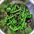 ☆魔矢☆'s cooksnap of when they made こごみぜんまいの漬物！.