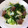 ＫＮＪ's cooksnap of when they made *たっぷり野菜と鶏肝の中華風炒め*.