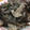 リスのしっぽ's cooksnap of when they made ナスと豚肉の生姜焼き風.