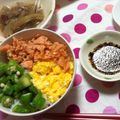 aaayaaa＊'s cooksnap of when they made 鮭そぼろの３色丼〜手作りごまだれがけ〜.