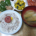 まっきー♪３７'s cooksnap of when they made 夏のお弁当在住☀梅ちゃん❤.
