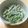 chie-zou88's cooksnap of when they made インゲンのオイスターマヨネーズ和え.