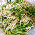 ちゃる吉's cooksnap of when they made 節約！簡単！ピリ辛のもやしと豆苗☆.