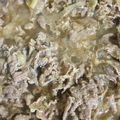 マリサ♡ママ's cooksnap of when they made 美味しくて簡単♪牛丼.