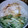 StardustCrusaders's cooksnap of when they made 山芋ときゅうりのわさび醤油和え.