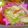 ゆのち♡'s cooksnap of when they made ささみとアスパラのサラダ･レモンソース.