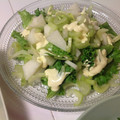 ふなここ's cooksnap of when they made ●梨とレタスとセロリのサラダ●.