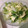 ふなここ's cooksnap of when they made ●梨とレタスとセロリのサラダ●.