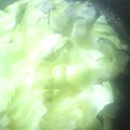 ☆しいたんママ☆'s cooksnap of when they made 簡単！お酒だけのキャベツ煮♪.