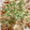 じんとっと's cooksnap of when they made 簡単！きのこともやしのオイスター炒め.