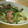 ぴーの助's cooksnap of when they made 豚肉とザーサイの炒め物.
