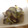 cochidori's cooksnap of when they made とろとろ!!　茄子と白ネギのゴマ煮.