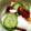 まおひろっち's cooksnap of when they made たこときゅうりの酢の物.