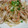 もりはん's cooksnap of when they made しゃき・旨☆せせりのもやし炒め.