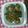snts's cooksnap of when they made 茄子とピーマンの味噌炒め.