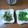 BOBUWO's cooksnap of when they made ししとうで二種のおつまみ(*´艸｀)♪.