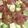 キキョウ−桔梗−'s cooksnap of when they made 簡単☆アボカドとマグロのポキ.