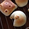 まあくんのおくさん's cooksnap of when they made かぼちゃの煮物でかぼちゃ餡.