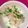 マルルル's cooksnap of when they made シンプル冷やっこ.