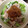 むっちゃり's cooksnap of when they made 冷しゃぶより簡単！さっぱり豚肉焼きしゃぶ.