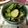 Yoshiii★'s cooksnap of when they made 夏にサッパリ！薬味と夏野菜の和物.