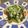 saki1230's cooksnap of when they made 鮭のムニエルx小松菜ソース.