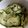 ぬこ／イチカロッカ's cooksnap of when they made 瓜とオクラのお手軽漬け物.