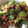 patson's cooksnap of when they made 角切りゴーヤの和風カレー炒め.