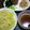 elingo's cooksnap of when they made 醤油麹で♪簡単なのに味の深いつけ麺のたれ.