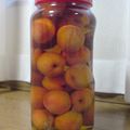わはは猫's cooksnap of when they made あんず酒　2008.