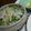 イハナ's cooksnap of when they made 簡単！ダイコンとカイワレのサラダ.