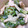 ✿オカピ✿'s cooksnap of when they made ｵｸﾗとｻｻﾐのマヨネーズ和え.