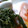 uri2215's cooksnap of when they made おかひじきのオイマヨ和え.