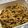 ヒロヒロ♪'s cooksnap of when they made 生姜大量消費！おいしい新生姜の佃煮.