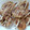 ゆきらふ's cooksnap of when they made ちょぼ焼き　フライパンでたこ焼き風.