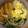 nekowahaha's cooksnap of when they made 卵とニラ・もやしのｵｲｽﾀｰｿｰｽ炒め.