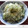 ちょこ☆ちょこ's cooksnap of when they made ちりめんじゃこときゅうりの酢の物.