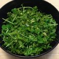 paytongin's cooksnap of when they made 夏に大活躍。合わせ薬味。.