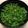 paytongin's cooksnap of when they made 夏に大活躍。合わせ薬味。.