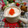 いりこ☆'s cooksnap of when they made グレープフルーツとヨーグルトのデザート.