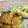 lovechild5's cooksnap of when they made ほうれん草とﾁｰｽﾞのｹｰｸｻｸﾚ風.